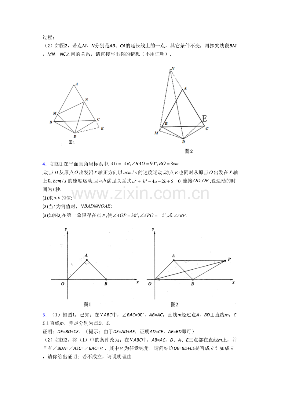 八年级上学期压轴题强化数学质量检测试卷解析(一)[002].doc_第2页