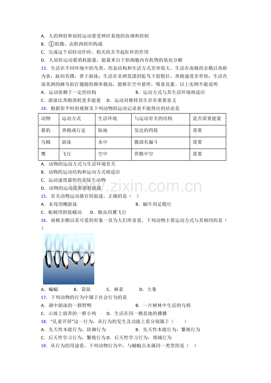 八年级上册期末生物试卷含解析(一).doc_第3页