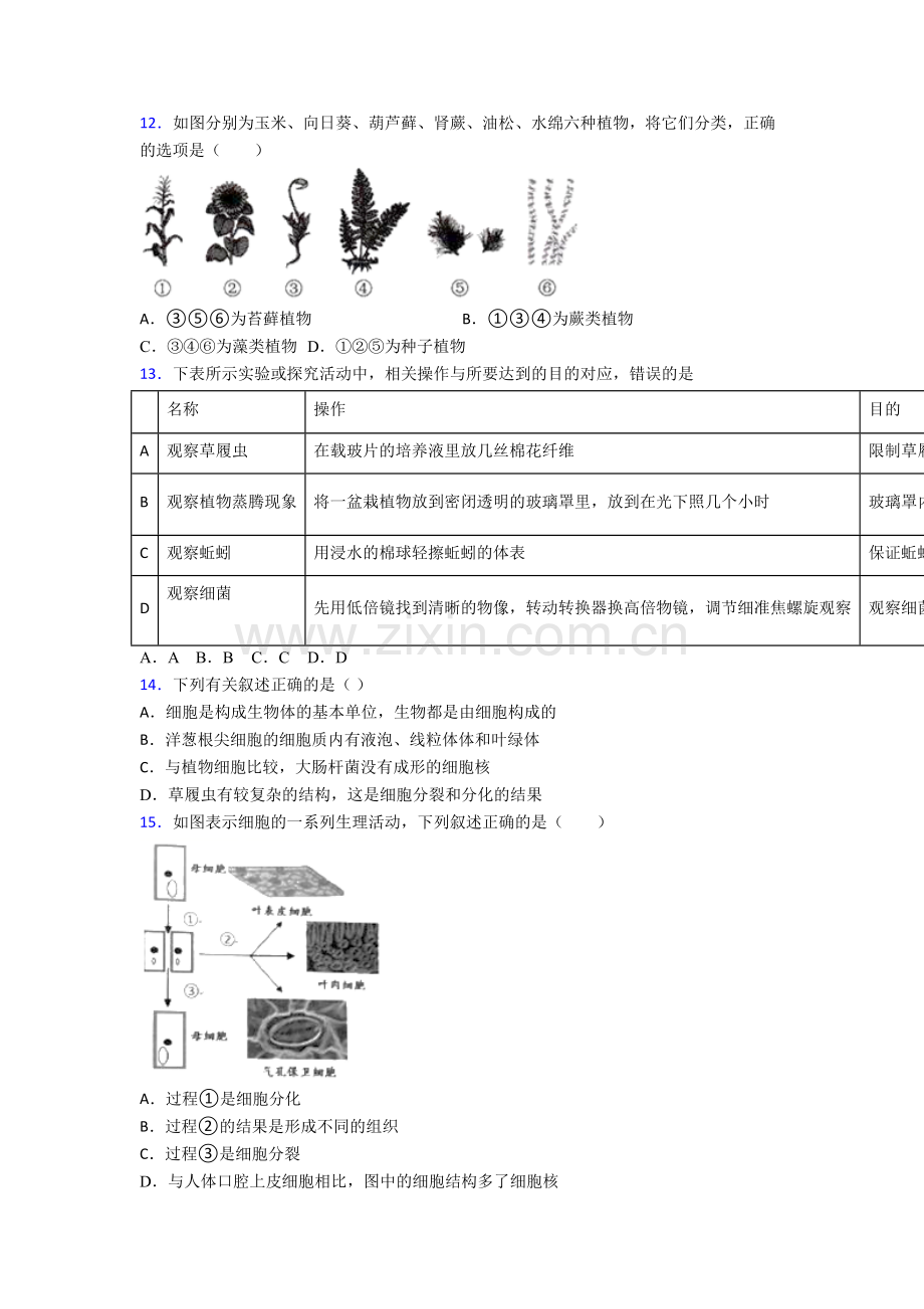 七年级上学期期末生物试卷答案[001].doc_第3页