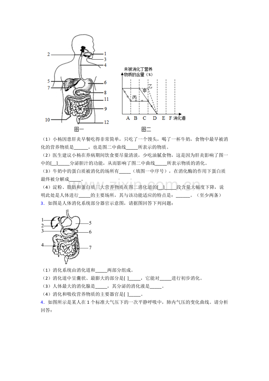 2024年人教版初一下册生物期末解答实验探究大题测试题及答案.doc_第2页