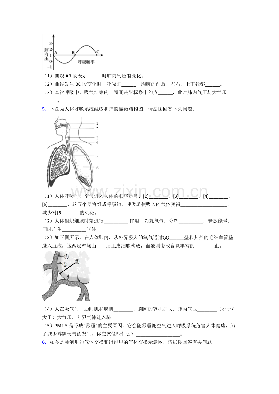 2024年人教版初一下册生物期末解答实验探究大题测试题及答案.doc_第3页