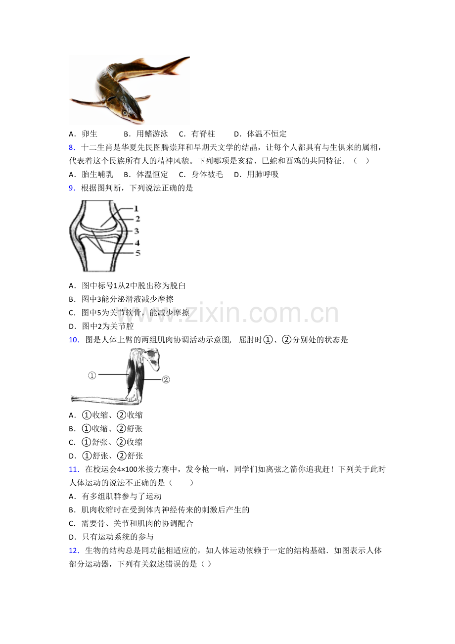 八年级生物上册期末模拟综合试卷带解析(一).doc_第2页