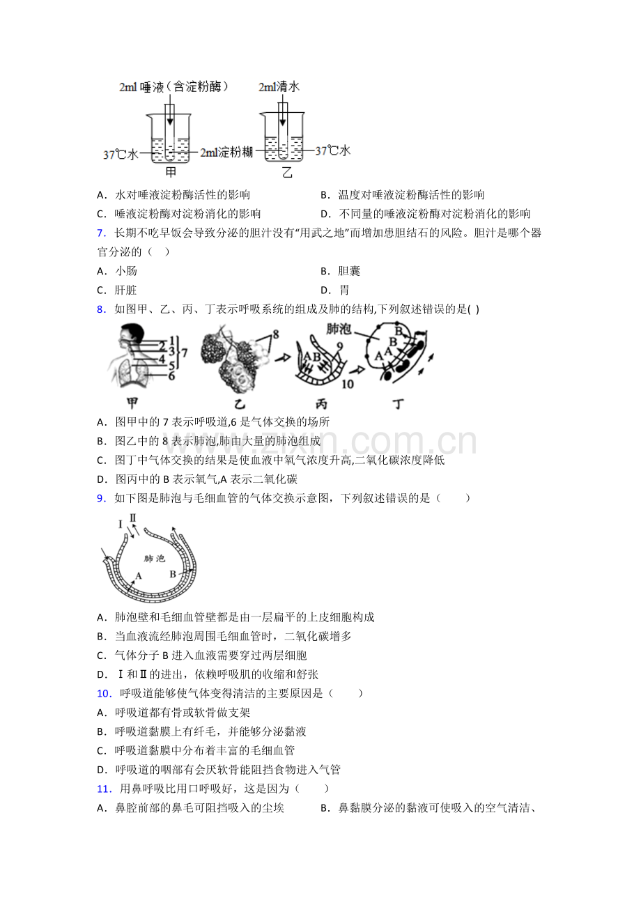 人教中学七年级下册生物期末综合复习题(附解析)完整.doc_第2页