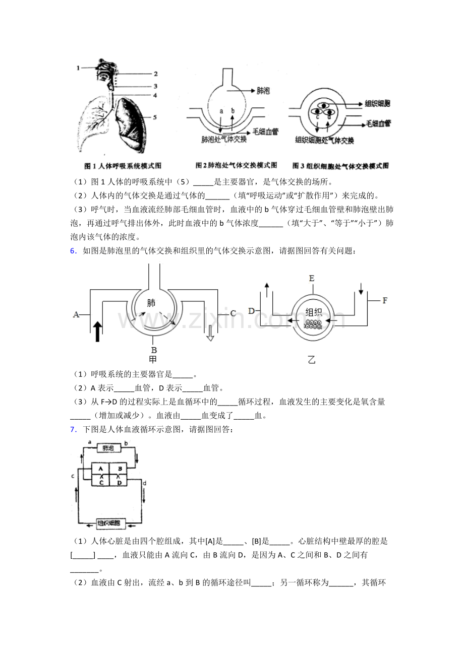 人教版初一下册生物期末解答实验探究大题质量检测题(含答案)图文.doc_第3页