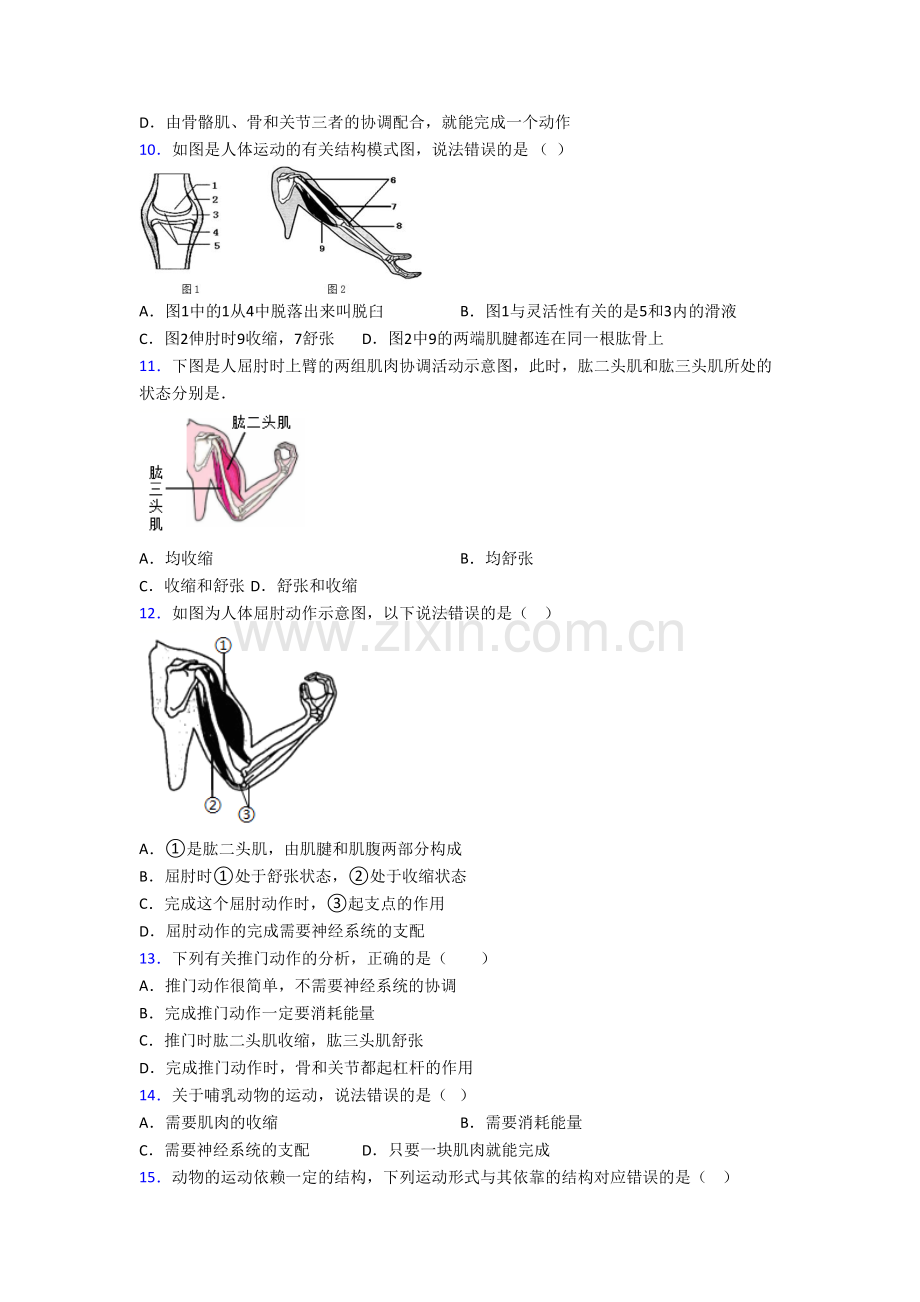 八年级上册期末模拟生物综合检测试卷附解析(一)[001].doc_第2页