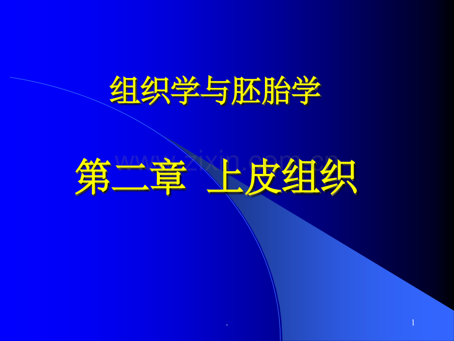 组织胚胎学精-上皮组织.ppt_第1页