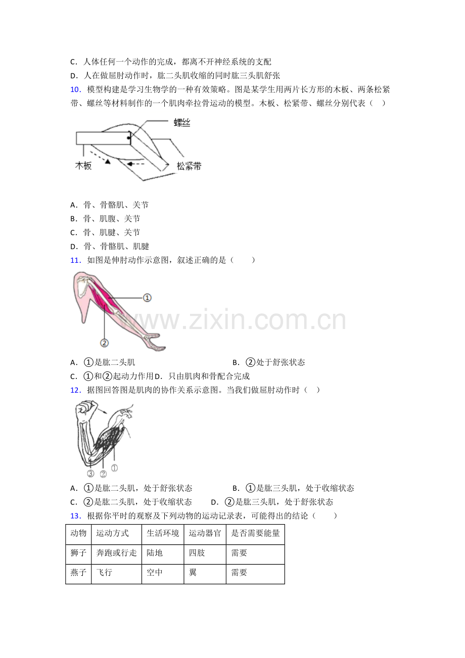 八年级上学期期末强化生物质量检测试题答案.doc_第2页