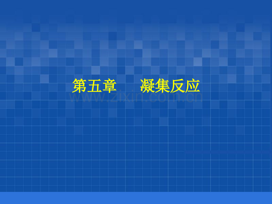 凝集反应.ppt_第1页