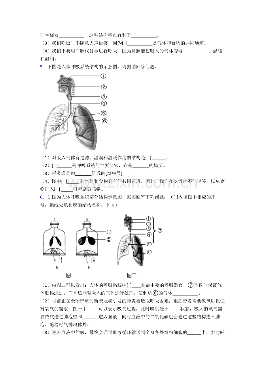 【生物】人教中学七年级下册生物期末解答实验探究大题质量检测题含答案.doc_第3页