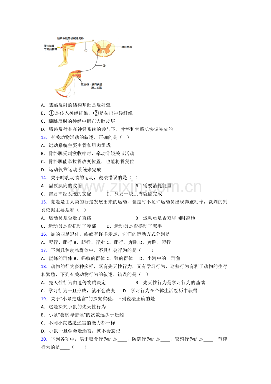 生物初二上学期期末模拟试卷带解析(一)[001].doc_第3页