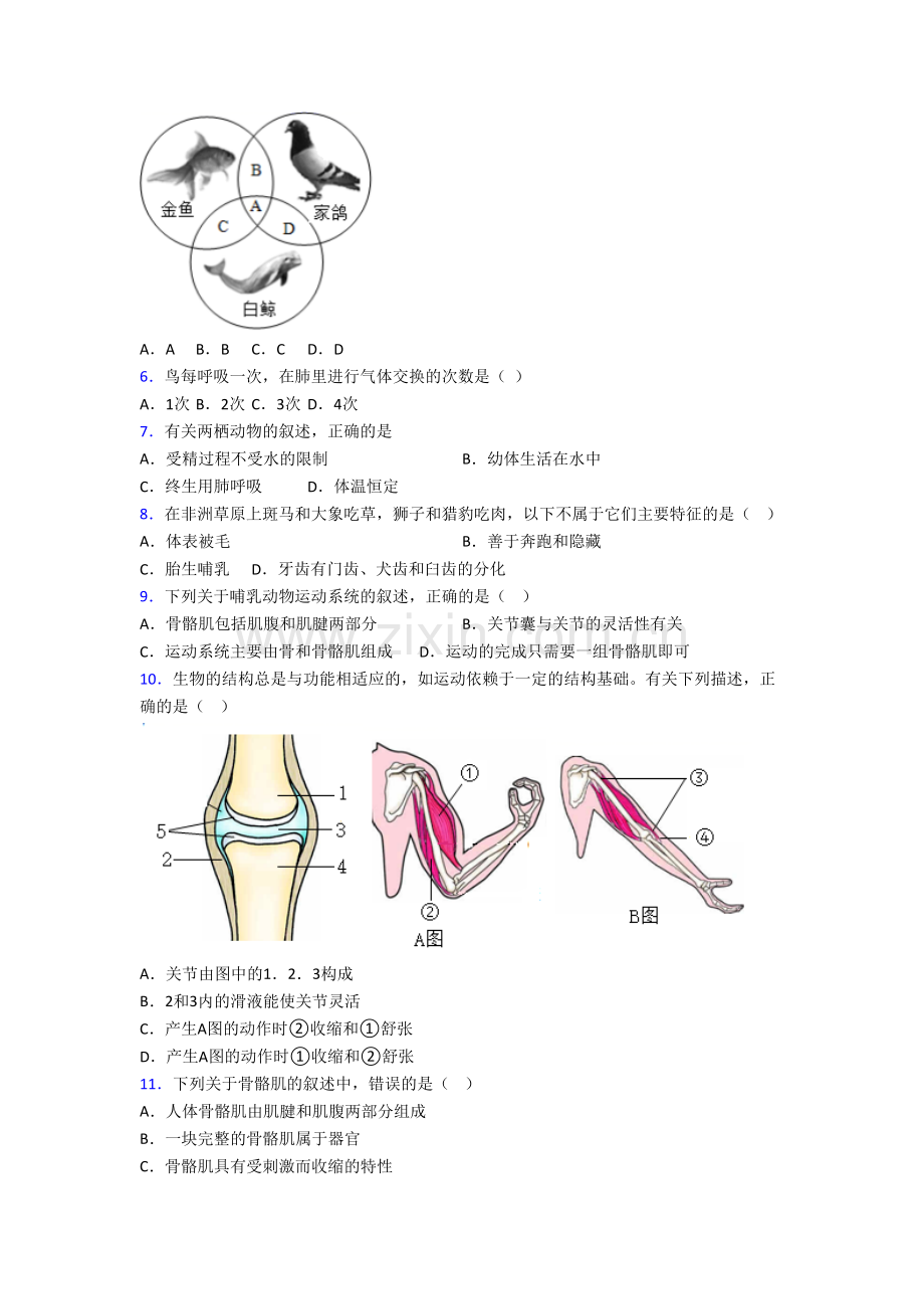 八年级生物上学期期末强化质量检测试卷带答案.doc_第2页