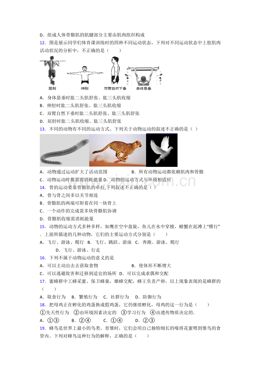 八年级生物上学期期末强化质量检测试卷带答案.doc_第3页