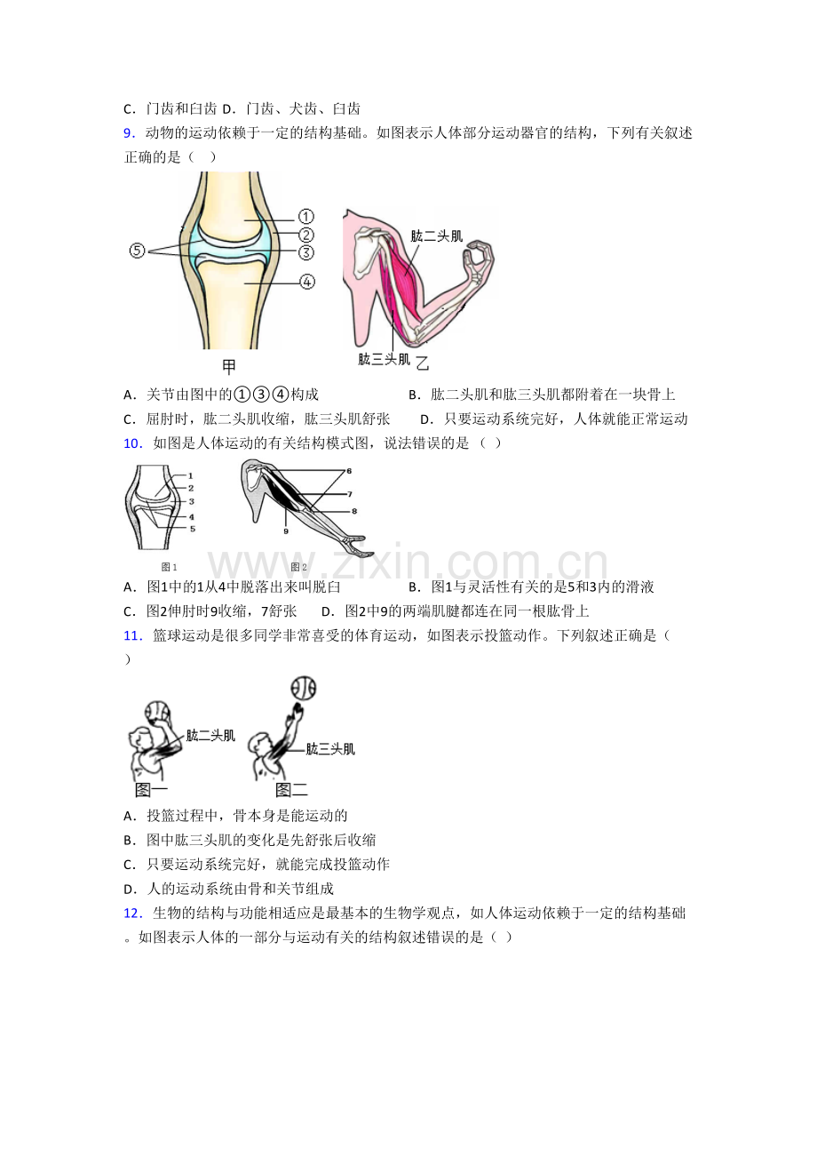 重庆九十四中学八年级上册期末生物试卷含答案.doc_第2页