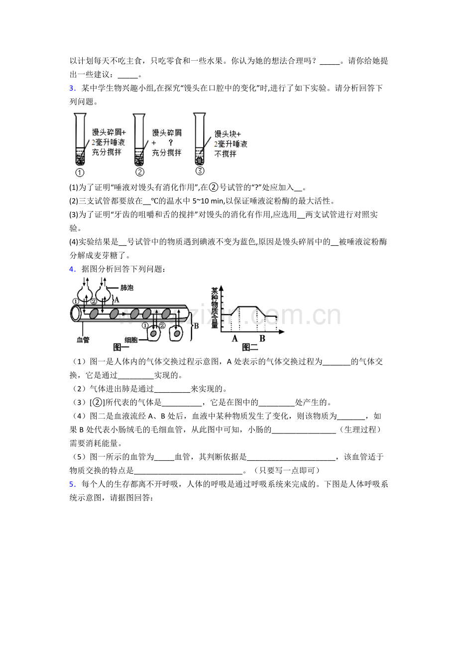 2024年人教版中学初一下册生物期末解答实验探究大题考试试卷(及答案).doc_第2页