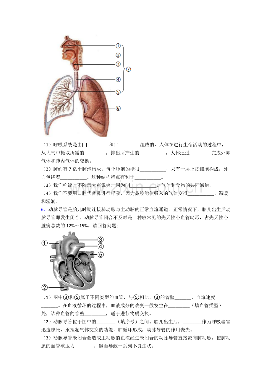 2024年人教版中学初一下册生物期末解答实验探究大题考试试卷(及答案).doc_第3页