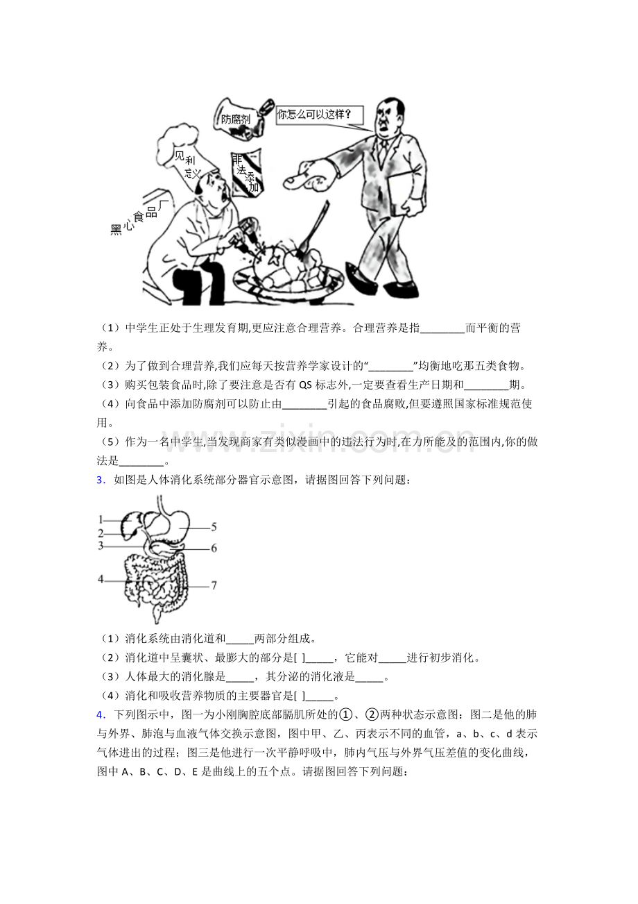 人教版七年级下册生物期末解答实验探究大题测试(含解析)经典.doc_第2页