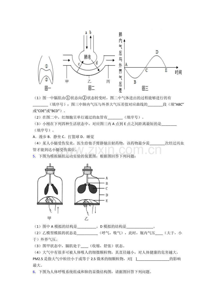 人教版七年级下册生物期末解答实验探究大题测试(含解析)经典.doc_第3页