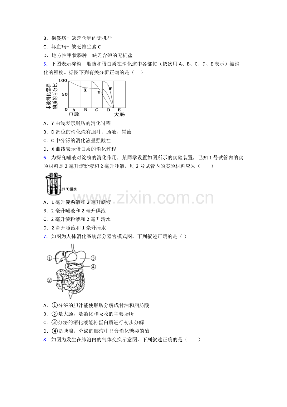 人教版中学七年级生物下册期中考试试卷及答案word.doc_第2页