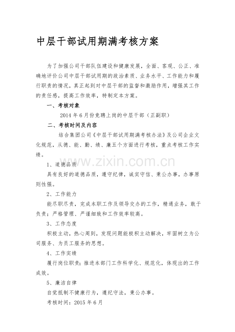 公司中层干部副职试用期考核实施方案..doc_第1页