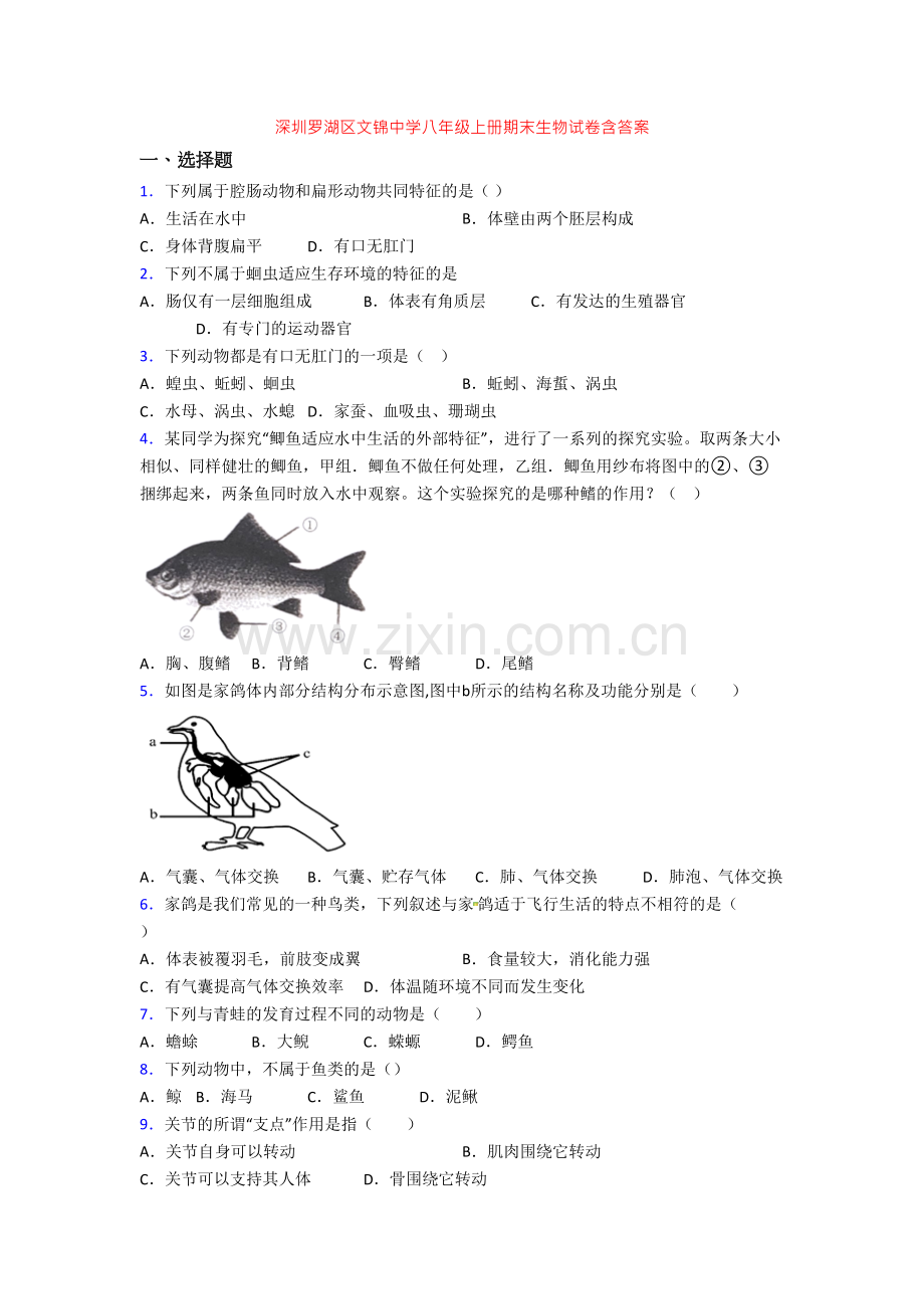 深圳罗湖区文锦中学八年级上册期末生物试卷含答案.doc_第1页