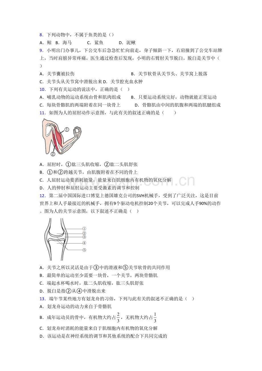 生物八年级上册期末模拟试题附答案[001].doc_第2页