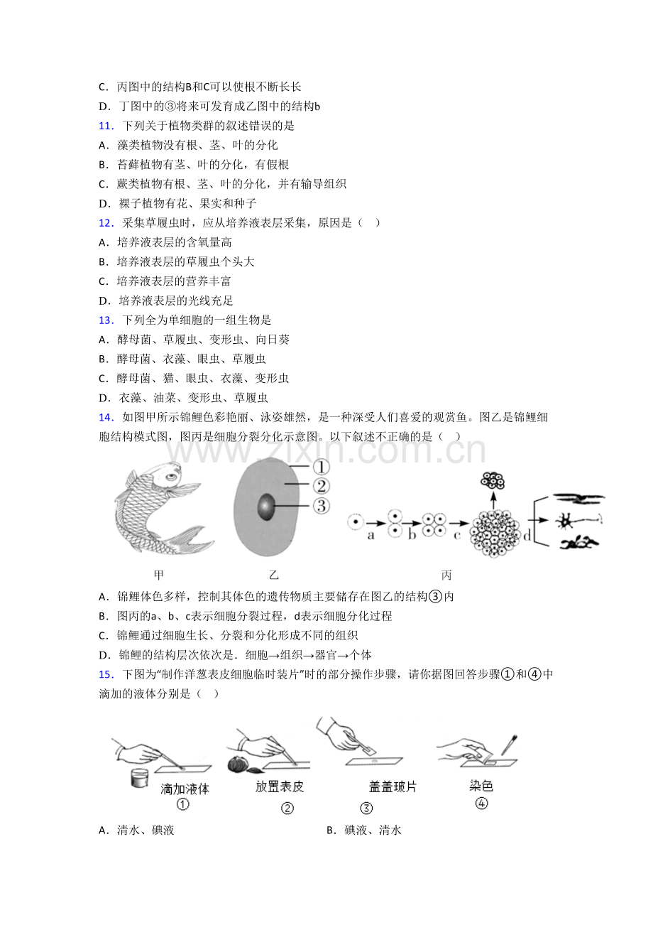 生物初一上学期期末综合试题带解析(-).doc_第3页