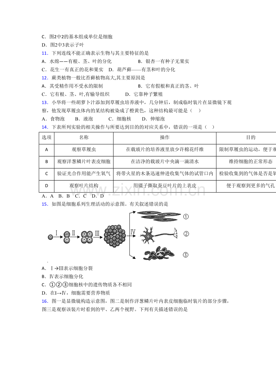 北京市私立君谊中学七年级上册期末生物试卷含答案.doc_第3页