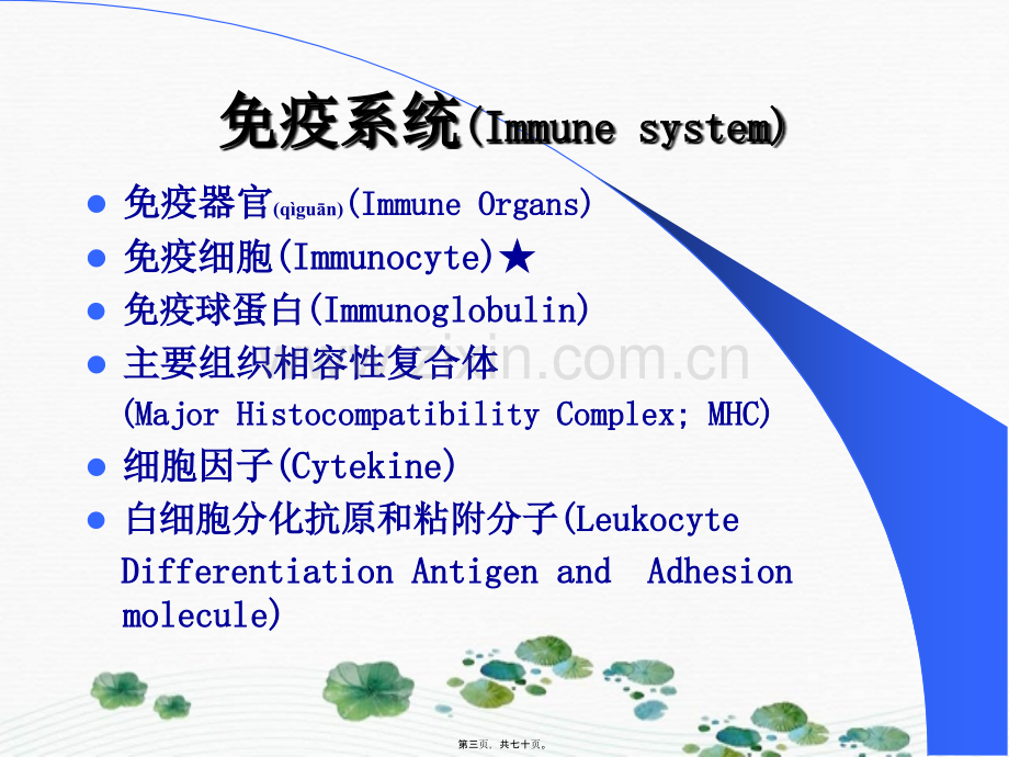 淋巴细胞标志检测.ppt_第3页