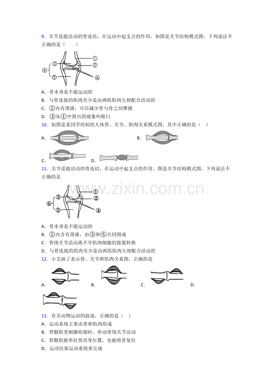 南平市生物八年级上册期末试卷-(2).doc_第2页