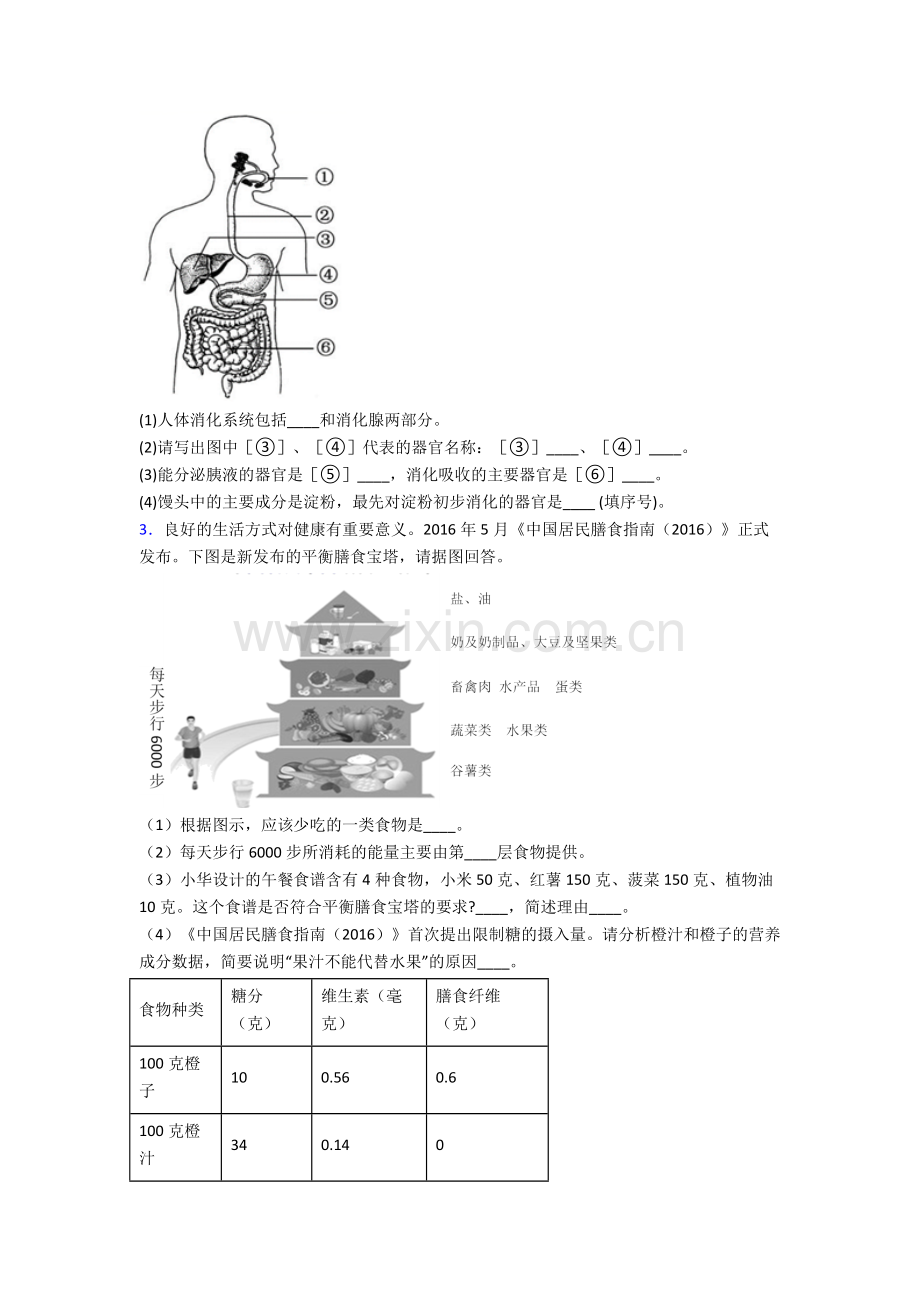 人教中学七年级下册生物期末解答实验探究大题考试试卷及解析.doc_第2页