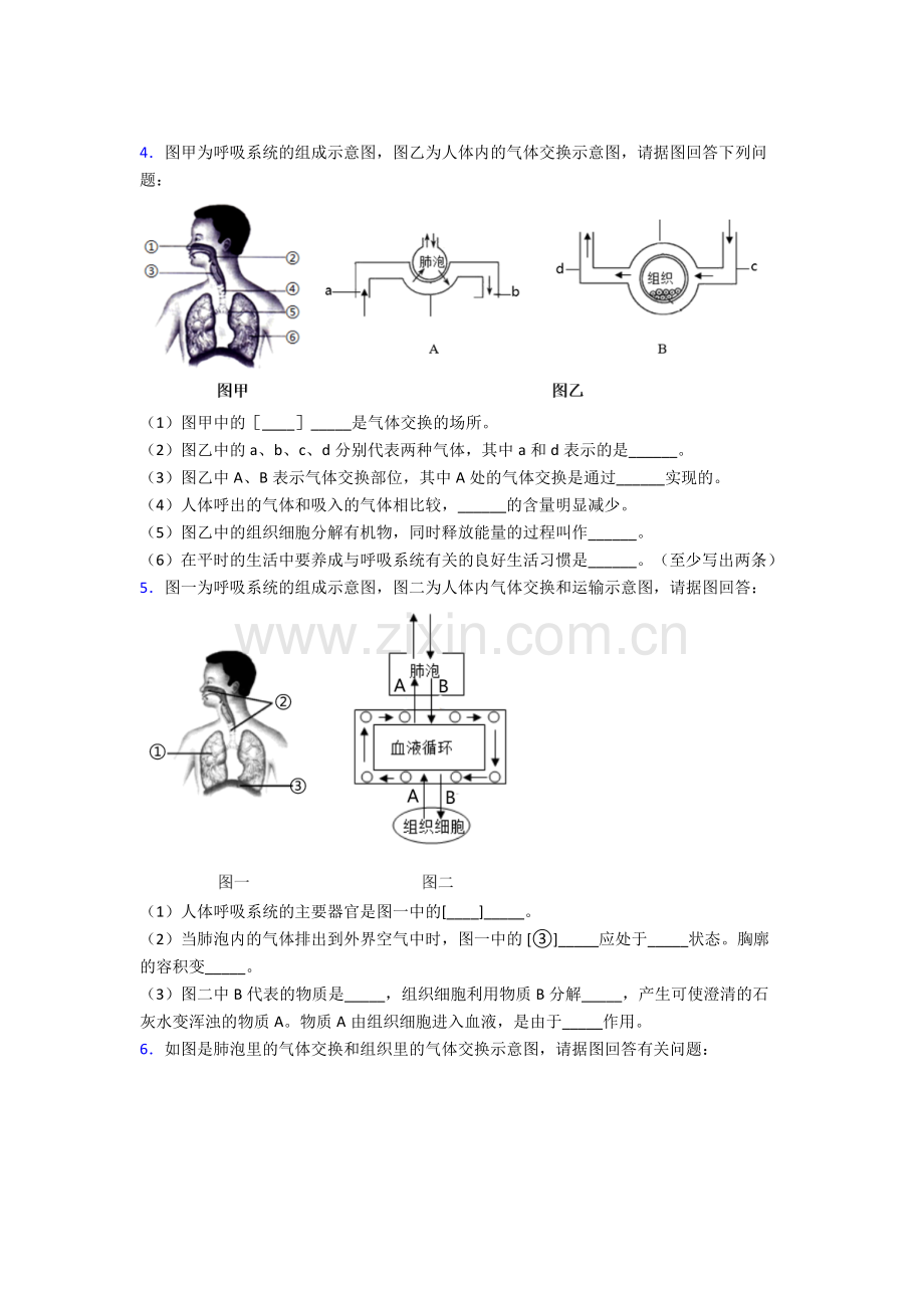 人教中学七年级下册生物期末解答实验探究大题考试试卷及解析.doc_第3页