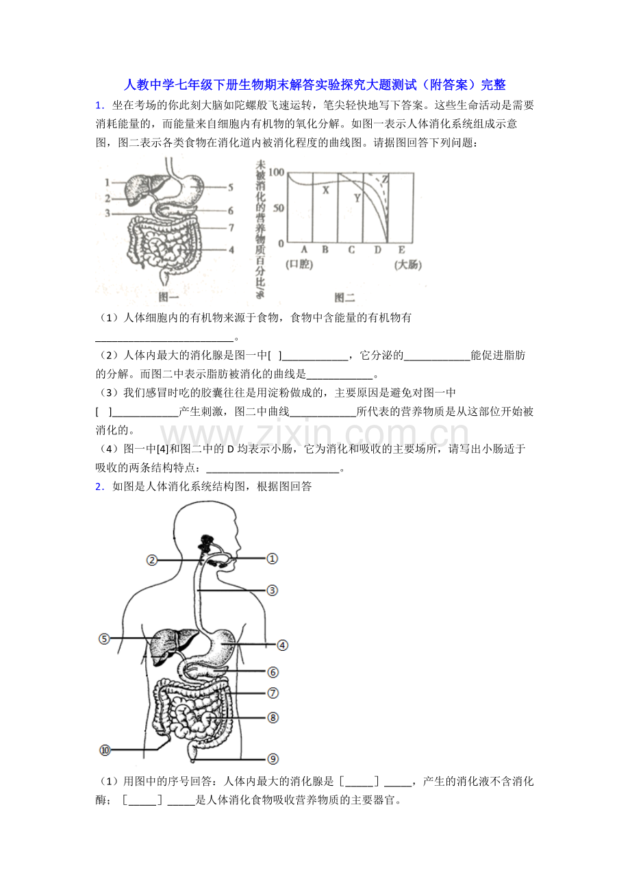 人教中学七年级下册生物期末解答实验探究大题测试(附答案)完整.doc_第1页