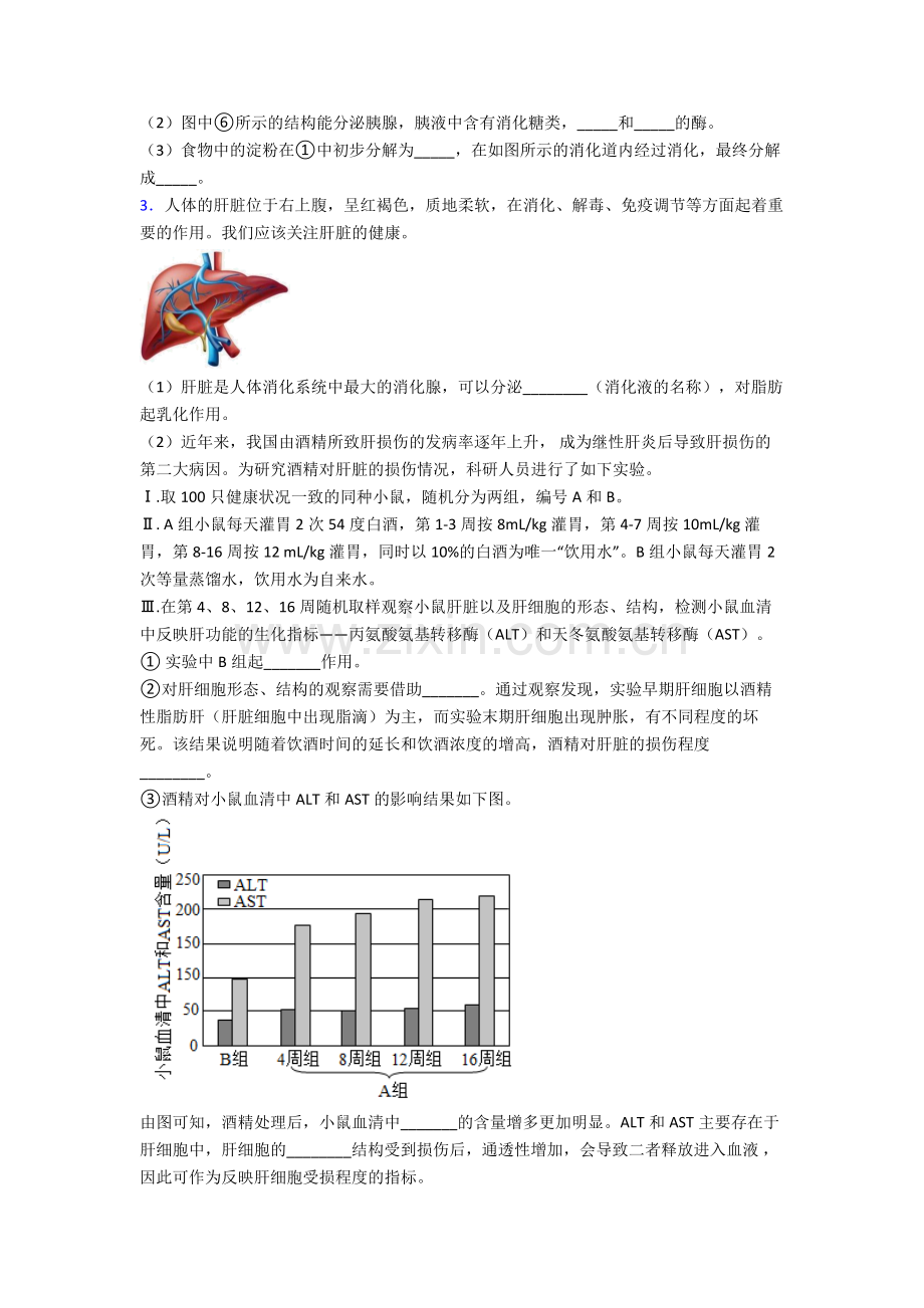 人教中学七年级下册生物期末解答实验探究大题测试(附答案)完整.doc_第2页