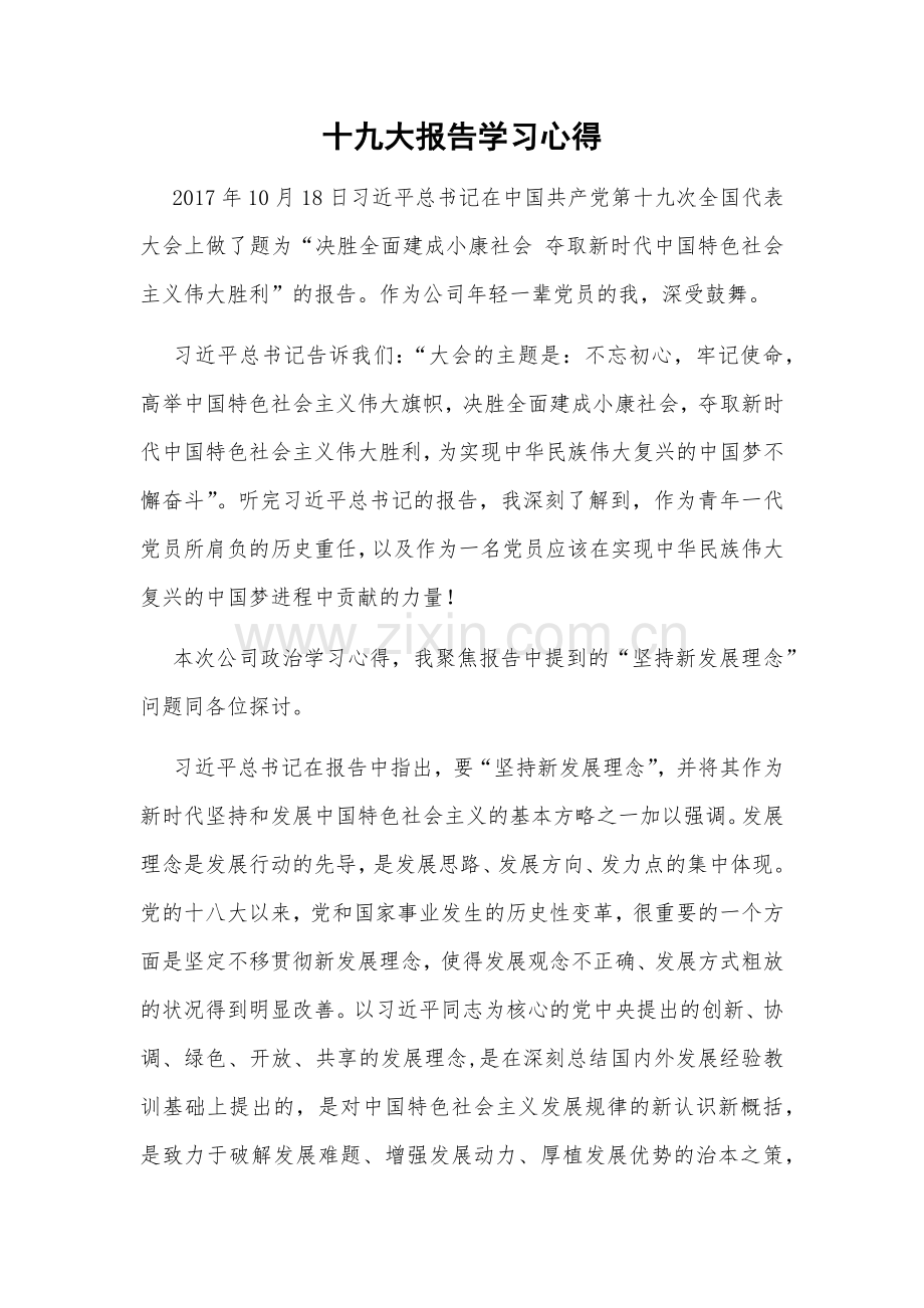 十九大学习报告1.docx_第1页