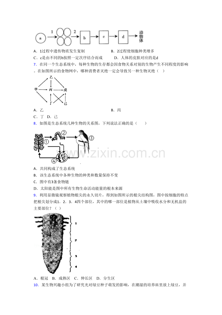 生物七年级上册期末模拟综合检测试卷解析(-).doc_第2页