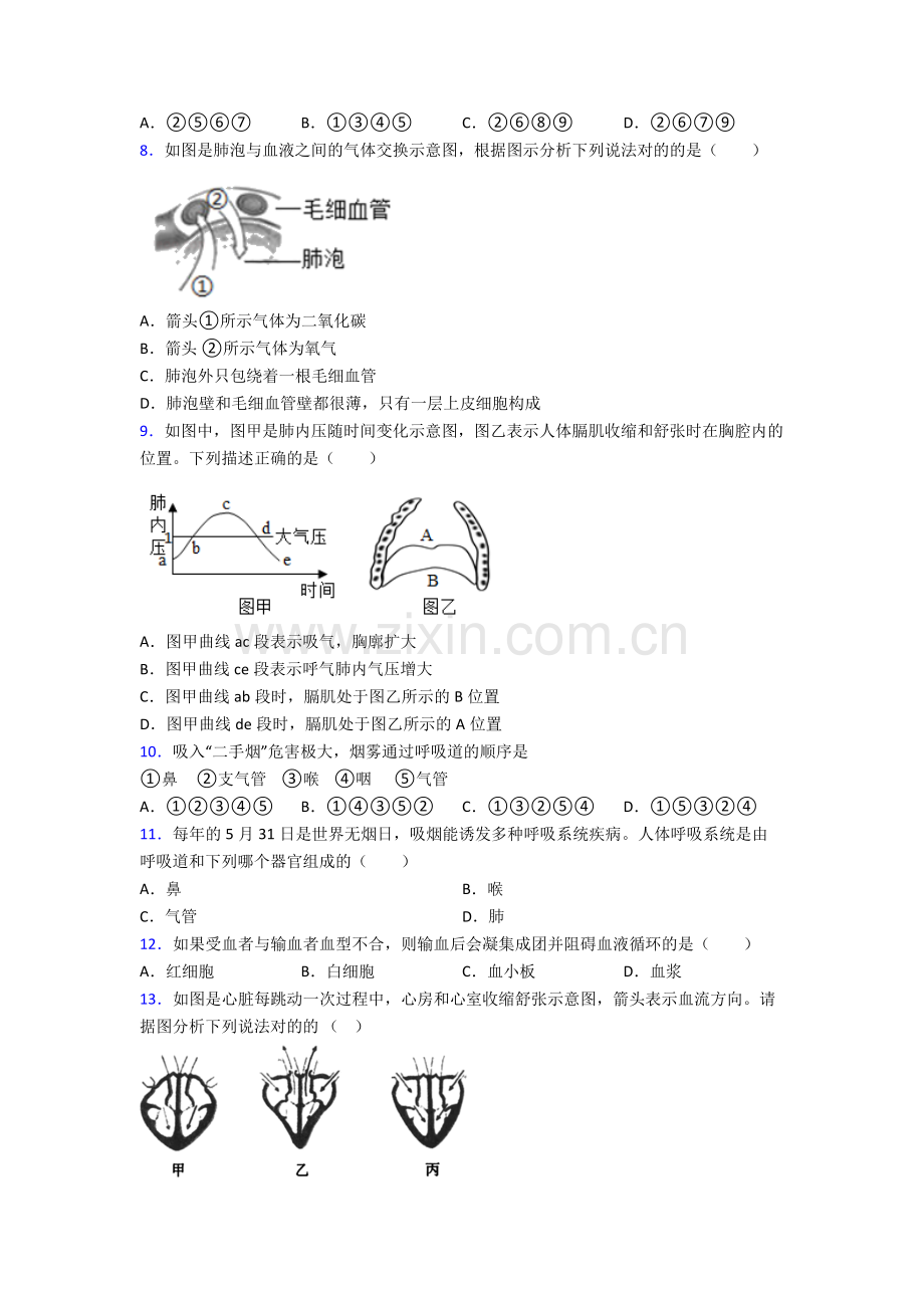 人教版中学初一下册生物期末综合复习(及解析)图文.doc_第2页