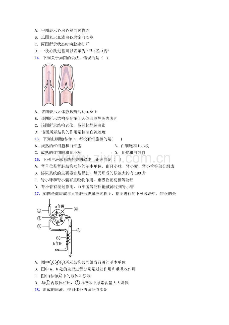 人教版中学初一下册生物期末综合复习(及解析)图文.doc_第3页