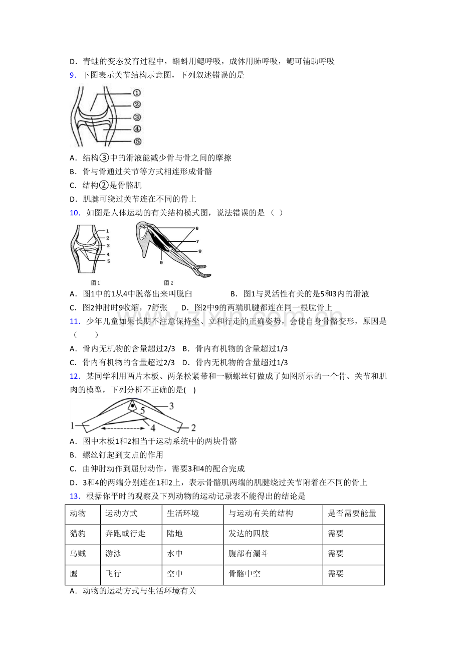 初二上册期末模拟生物试卷[001].doc_第2页