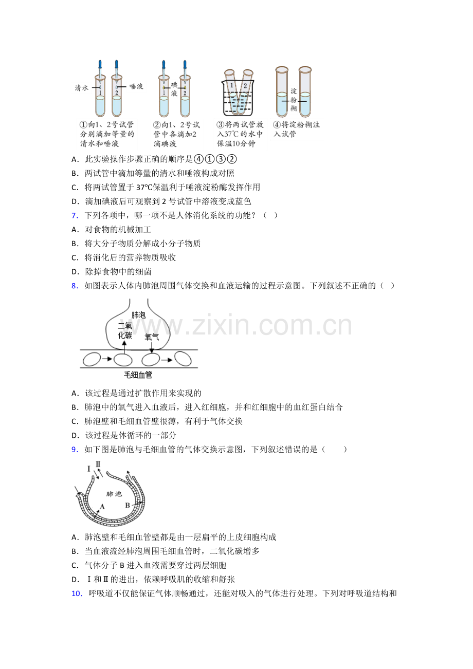 2022年人教版初一下册生物期中测试(附答案)图文.doc_第2页