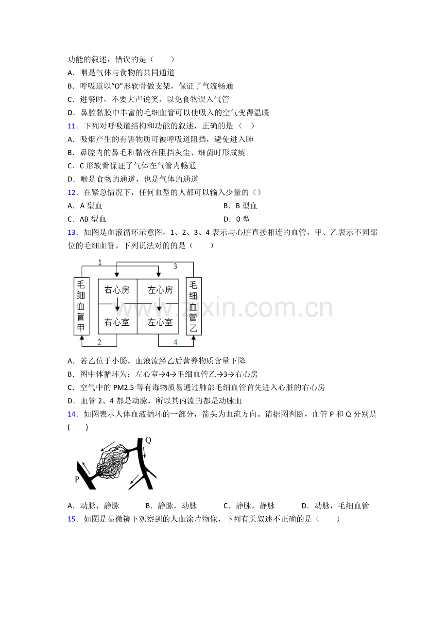 2022年人教版初一下册生物期中测试(附答案)图文.doc_第3页