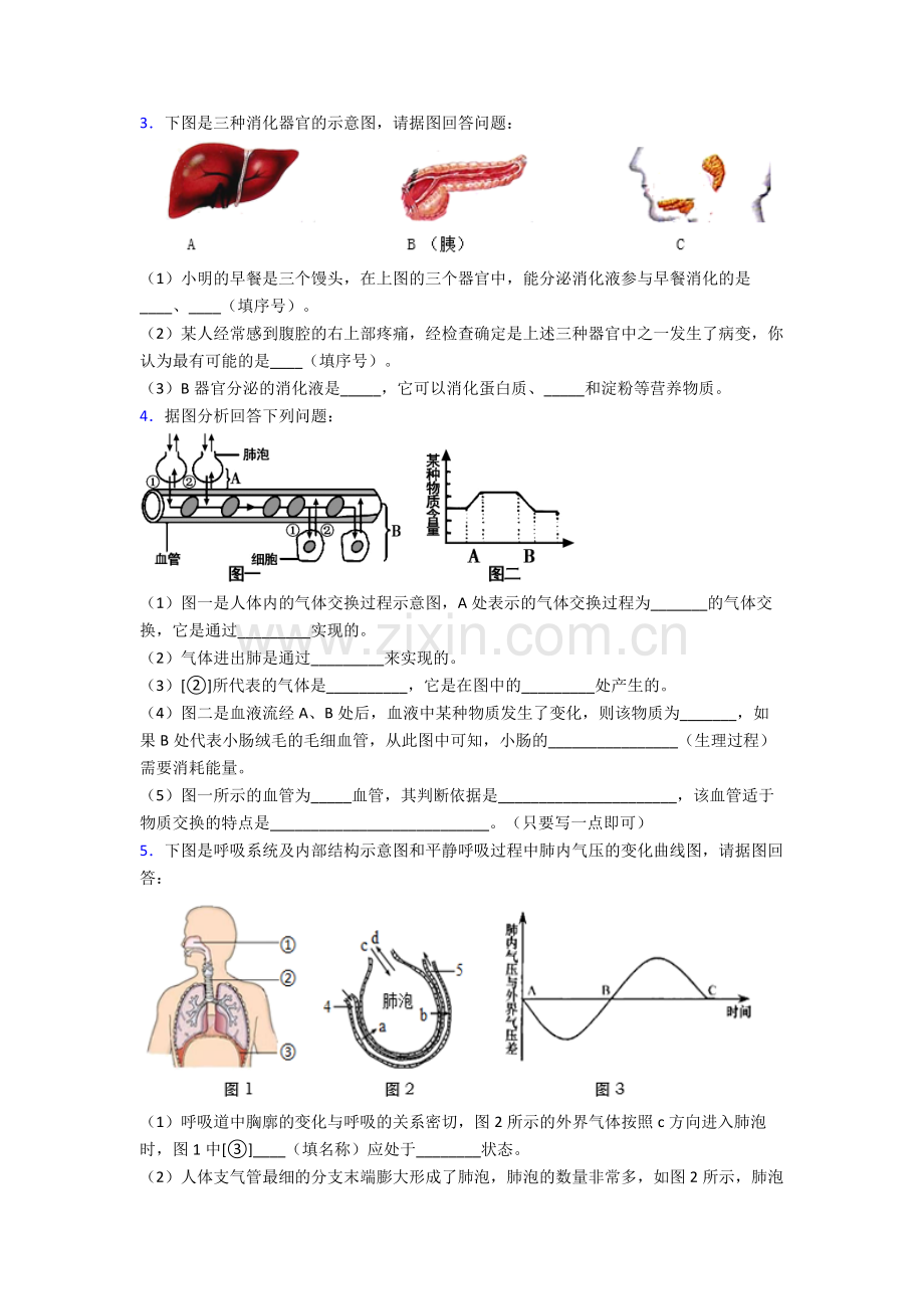 人教版七年级生物下册期末解答实验探究大题试卷附答案.doc_第2页