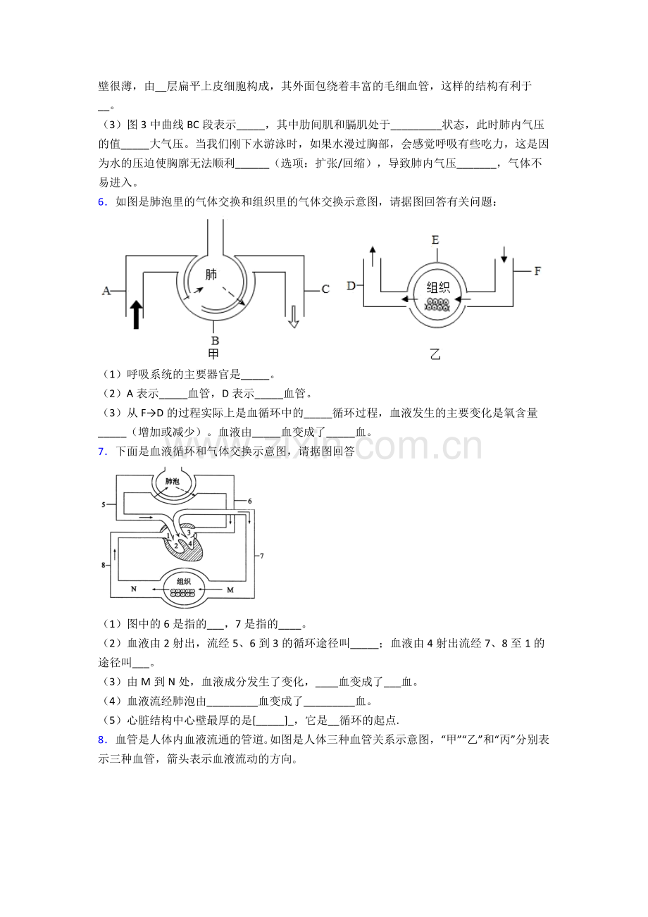 人教版七年级生物下册期末解答实验探究大题试卷附答案.doc_第3页