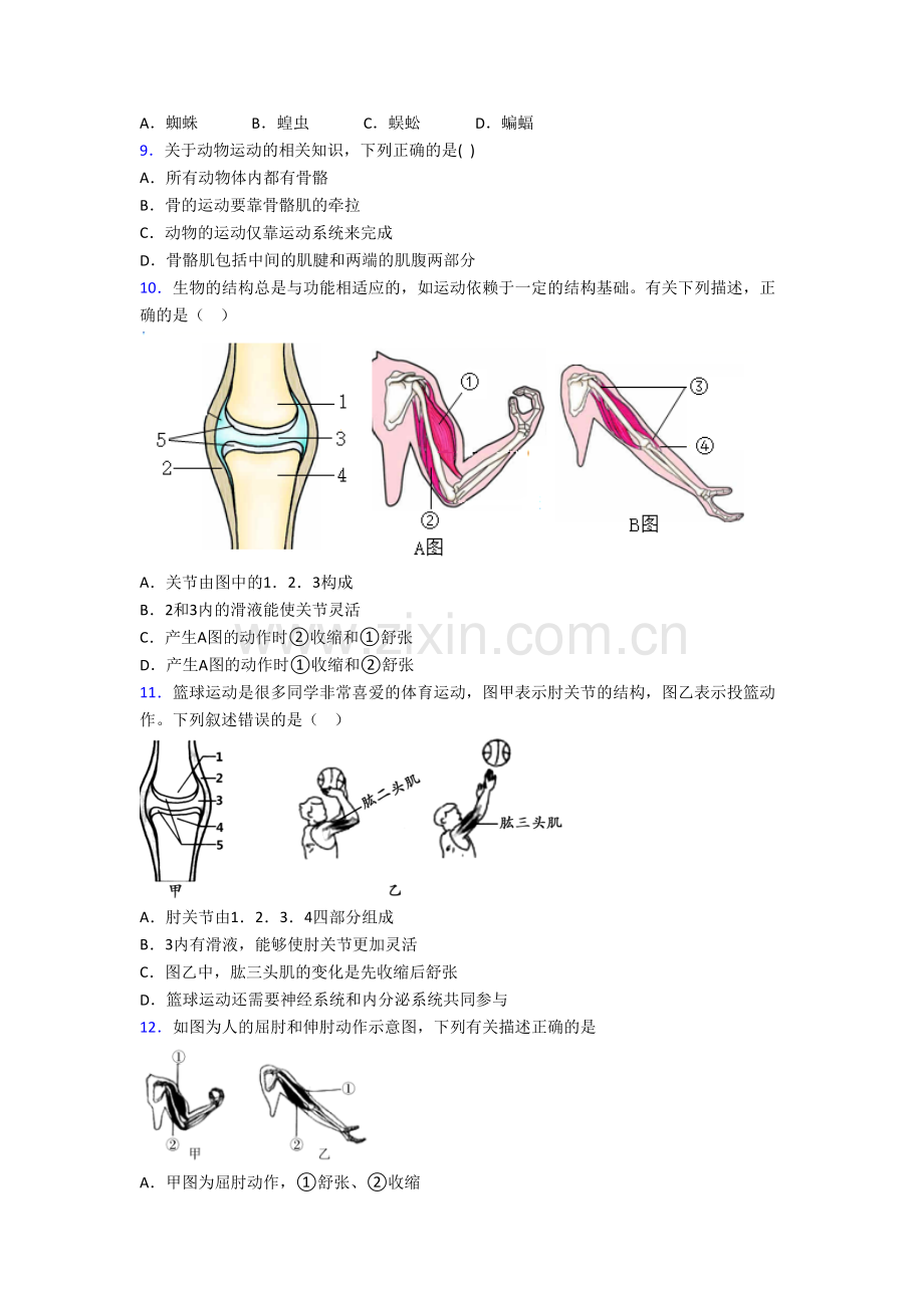 初二上学期期末模拟生物试卷(一).doc_第2页