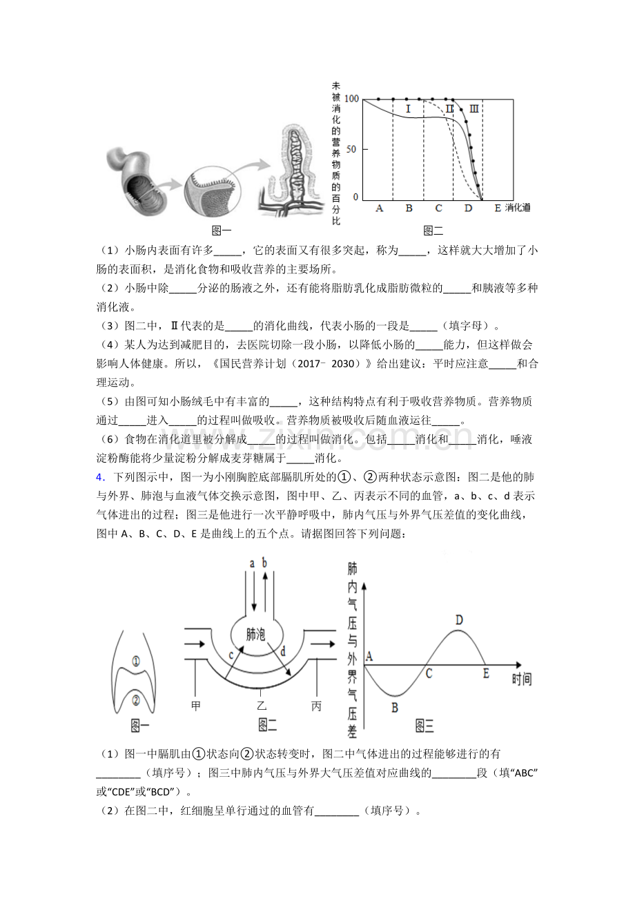 2024年人教版中学初一下册生物期末解答实验探究大题质量检测(含答案)完整.doc_第2页