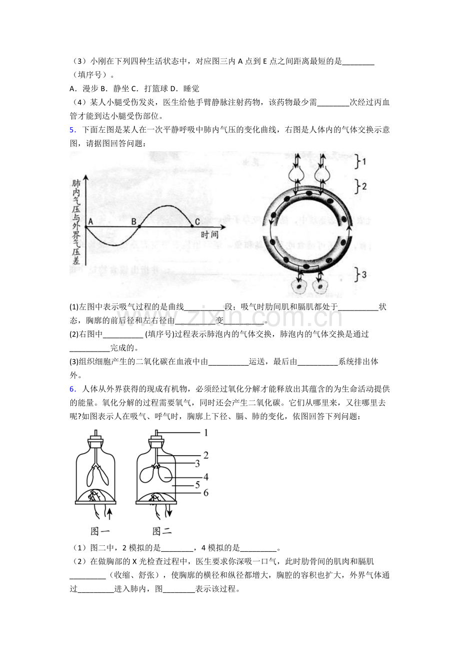 2024年人教版中学初一下册生物期末解答实验探究大题质量检测(含答案)完整.doc_第3页