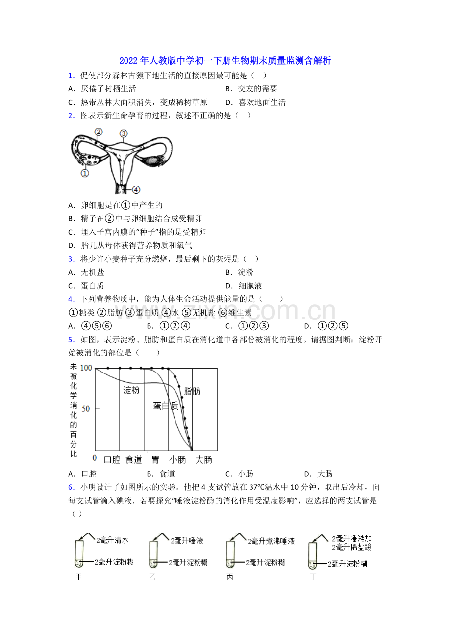 2022年人教版中学初一下册生物期末质量监测含解析.doc_第1页