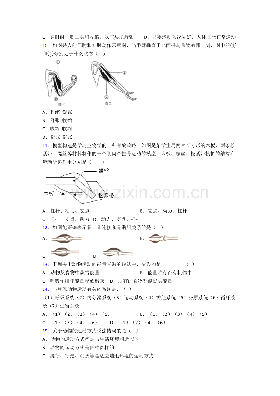 初二上册期末强化生物综合试题含答案[001].doc_第2页