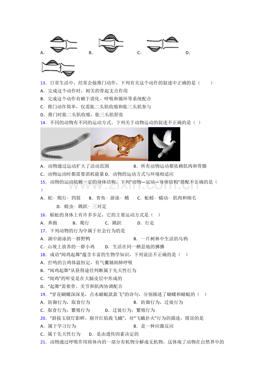 八年级上学期期末生物试题含解析(一).doc_第3页