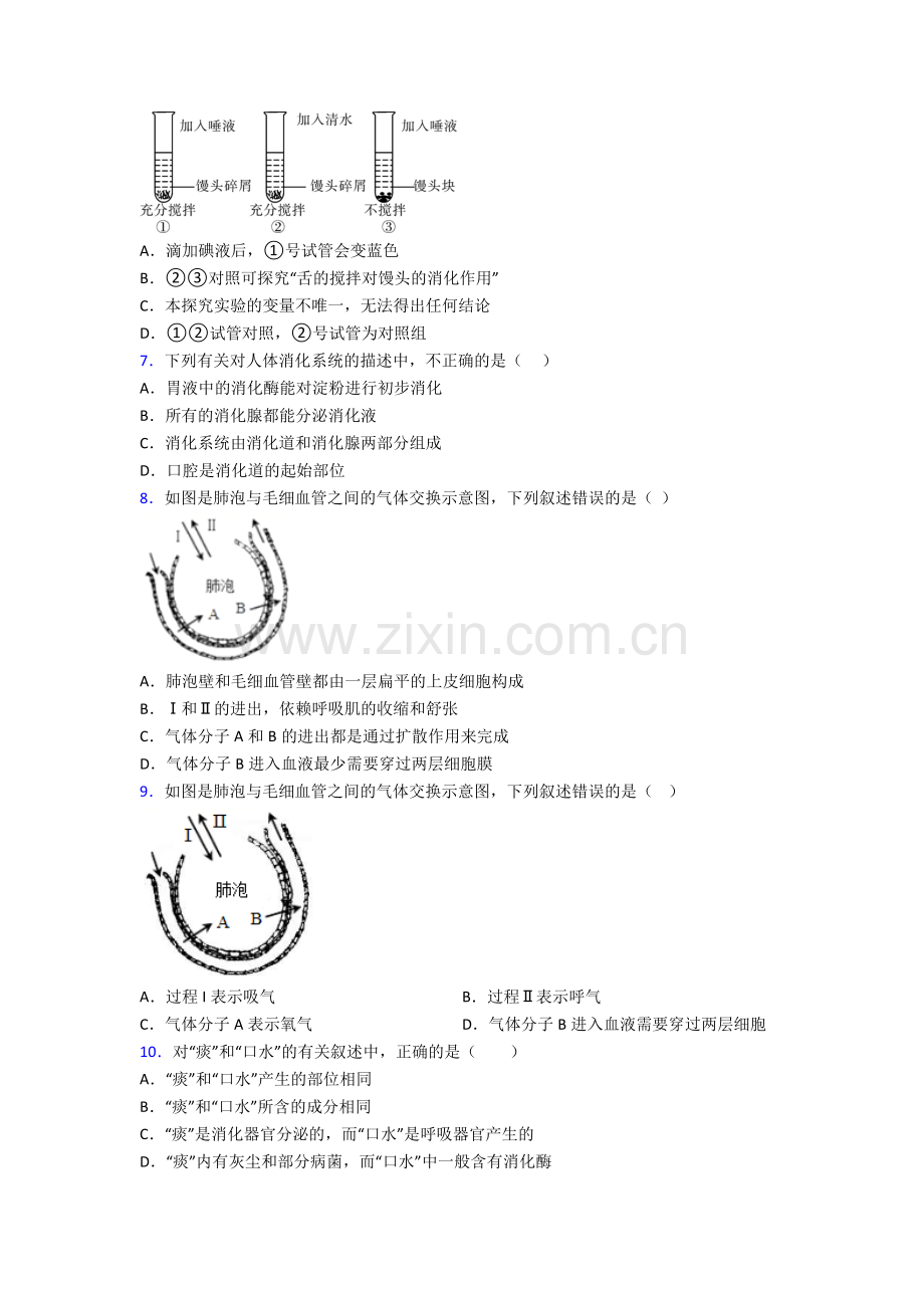 2023年人教版中学初一下册生物期中复习题(附答案)图文.doc_第2页