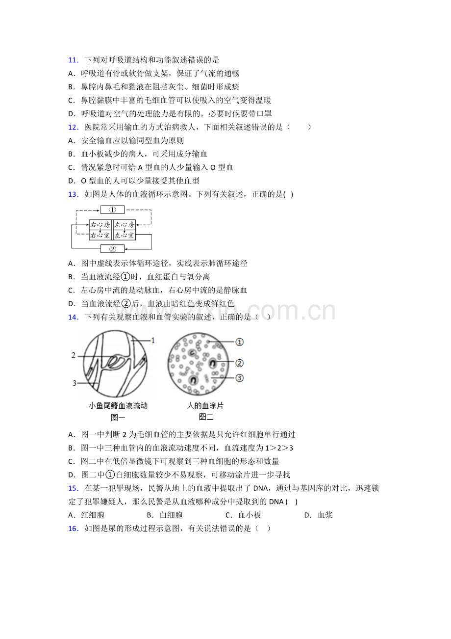 2023年人教版中学初一下册生物期中复习题(附答案)图文.doc_第3页